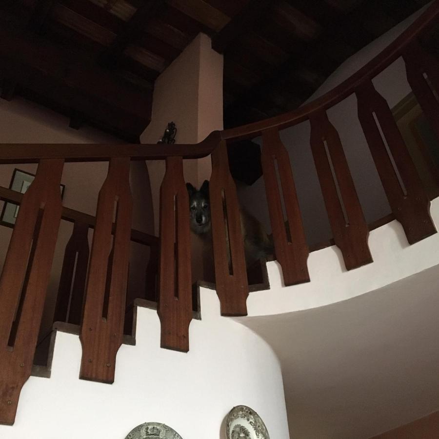 Bed and Breakfast Mirabilia Adrara San Rocco Exterior foto